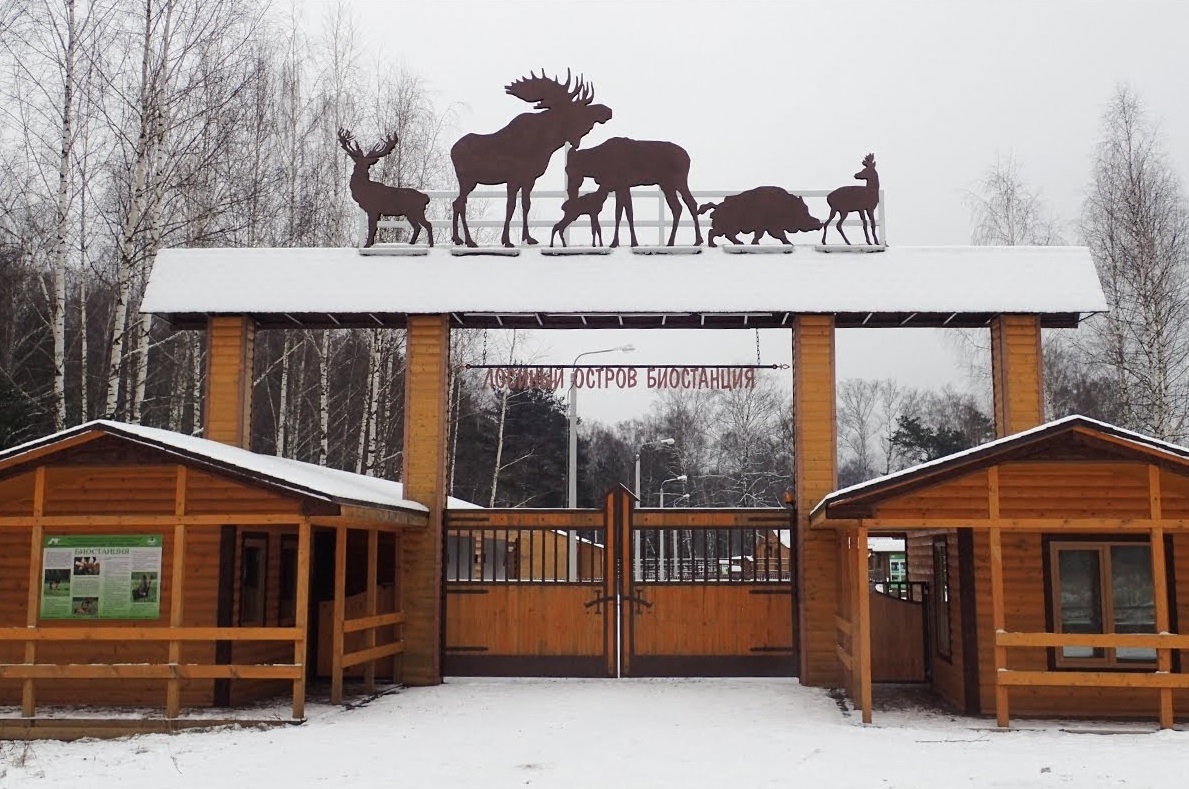 Лосиный остров - крупнейший лес в пределах Гольяново