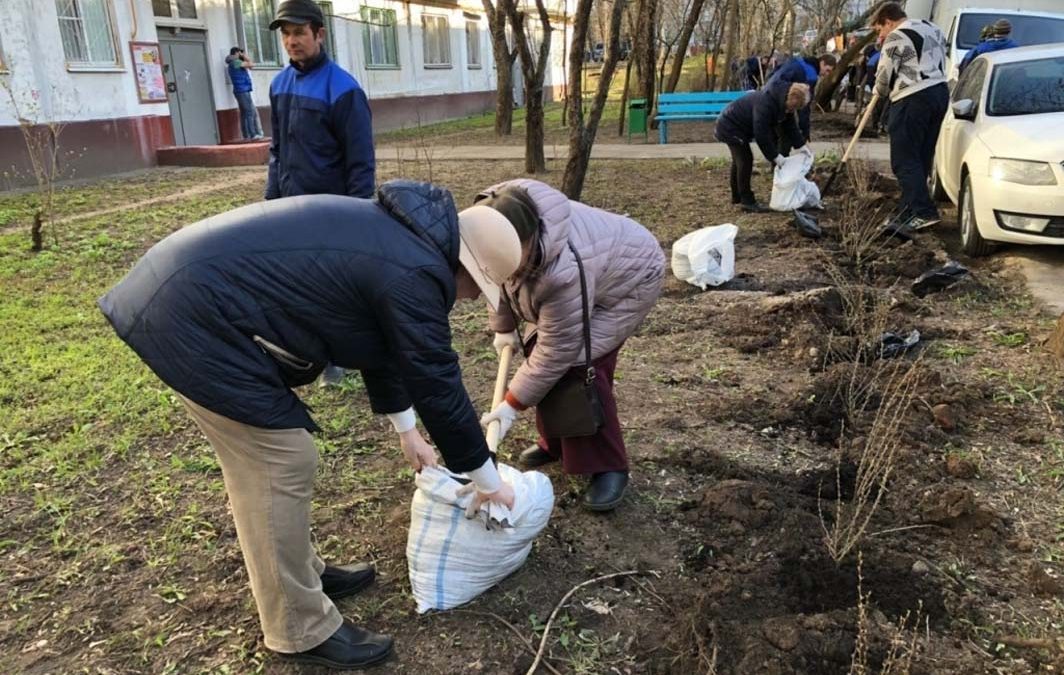 Весной в Гольяново высадят более 700 зеленых насаждений