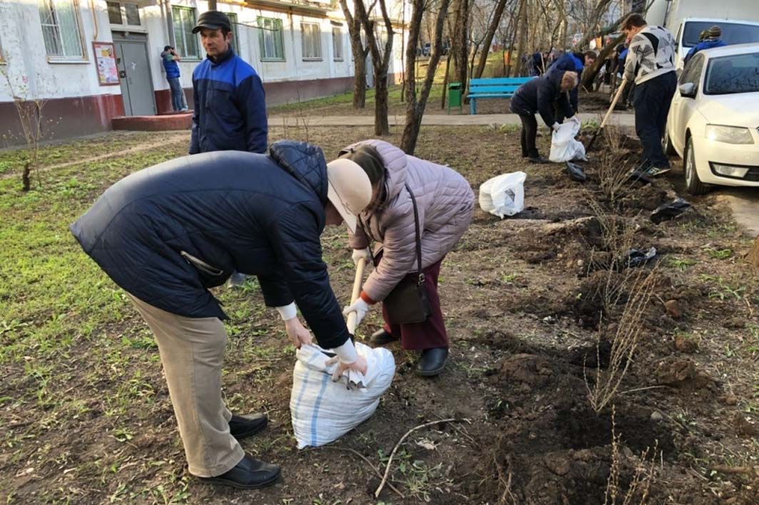 Новые деревья и кустарники украсят район Гольяново 4